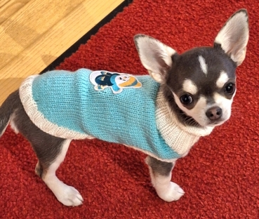 Preview: Strickanleitung Hundepullover "Happy Dog"